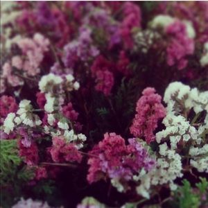 Meet your Posher, Zanita